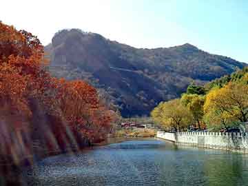 正新澳门二四六天天彩，食堂快餐桌